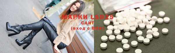 прущие грибы Майский