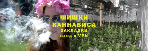 амф Медногорск