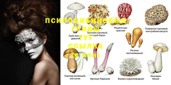 прущие крисы Михайлов