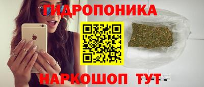 эйфоретик Кимры