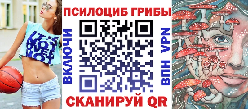 kraken ссылки  Малгобек  Галлюциногенные грибы Psilocybe 