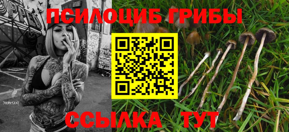 Галлюциногенные грибы Magic Shrooms Малгобек